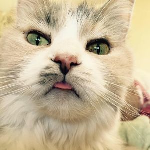 Meet your Posher, Tracey